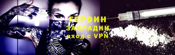 индика Ладушкин