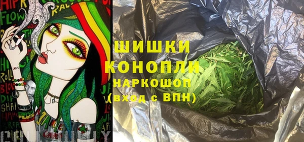 индика Ладушкин