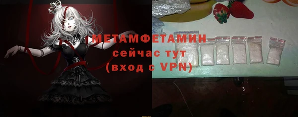 индика Ладушкин