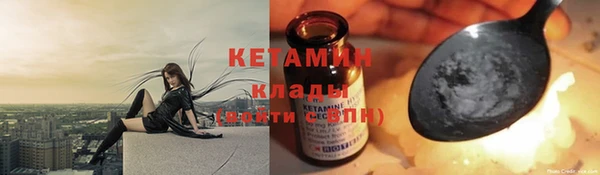 индика Ладушкин