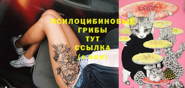индика Ладушкин