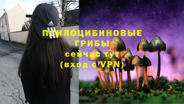 стаф Лагань