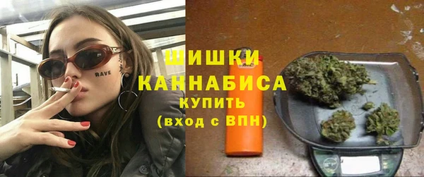 ПСИЛОЦИБИНОВЫЕ ГРИБЫ Липки