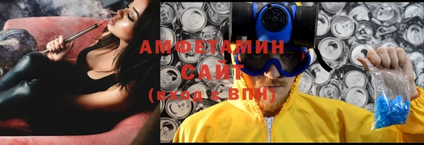 индика Ладушкин