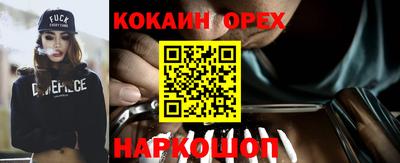 тгк Камышлов