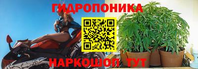 ECSTASY Кандалакша
