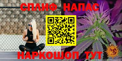 ECSTASY Кандалакша