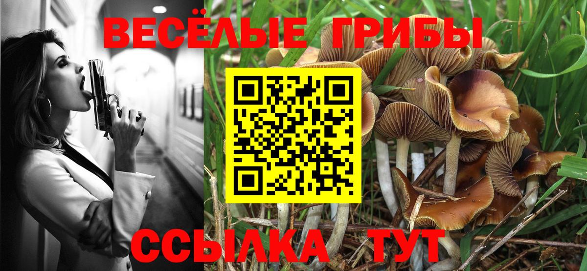 Галлюциногенные грибы Cubensis  Вход с VPN  наркошоп  Красноуфимск 