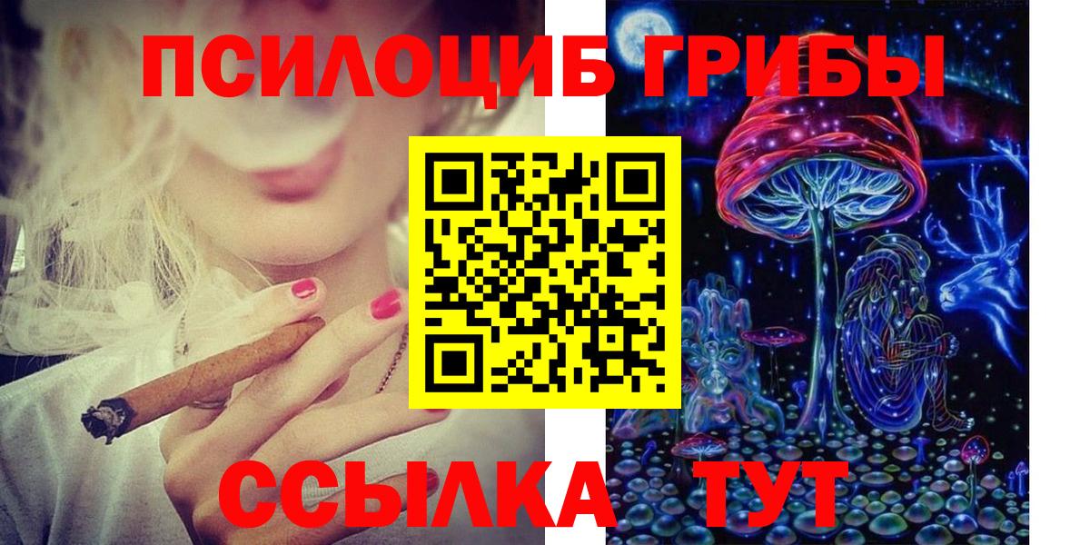 Псилоцибиновые грибы мицелий Красноуфимск